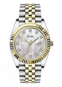Gold Shell White Surface