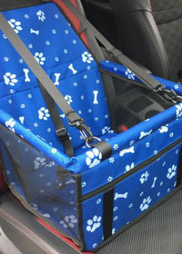 Blue Paw
