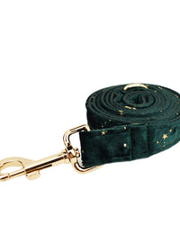 Dog leash2