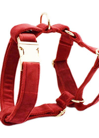Dog Vest