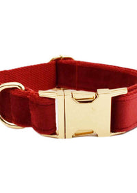 Dog Collar