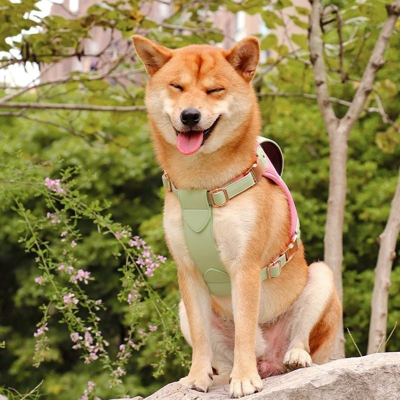 Medium To Large Pet Vest Style Chest Strap