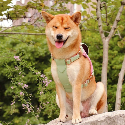 Medium To Large Pet Vest Style Chest Strap