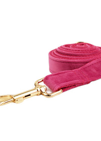 Dog leash3