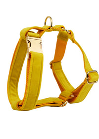 Dog vest1