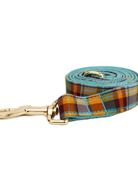 Dog leash1