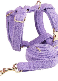 Vest And Dog Leash
