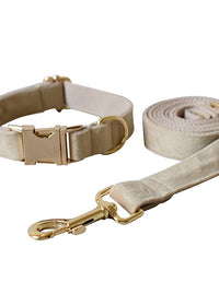 Dog leash suit