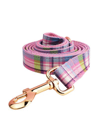 Dog Leash