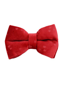 Bow3