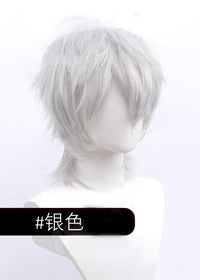 SW245171