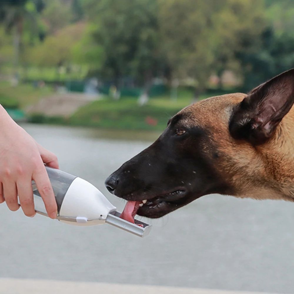 Pet Oasis: Portable 2-in-1 Water & Food Feeder Bowl