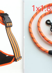 Orange  set2