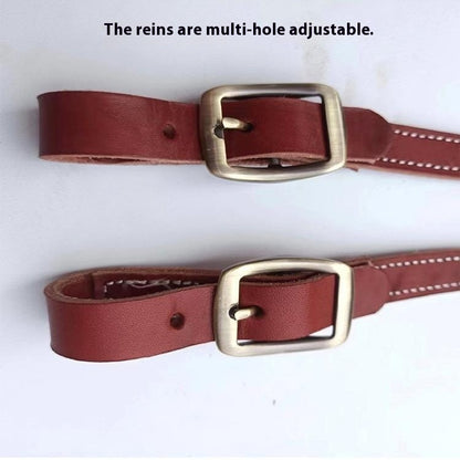 Horse Halter Pure Cowhide Equipment Dragon Cover Metal Buckle Elegant