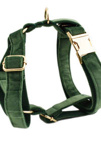 Dog vest2