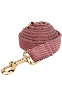Dog Leash