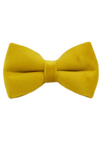 Bow1