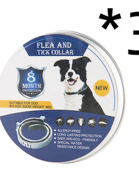 3pcs Dog