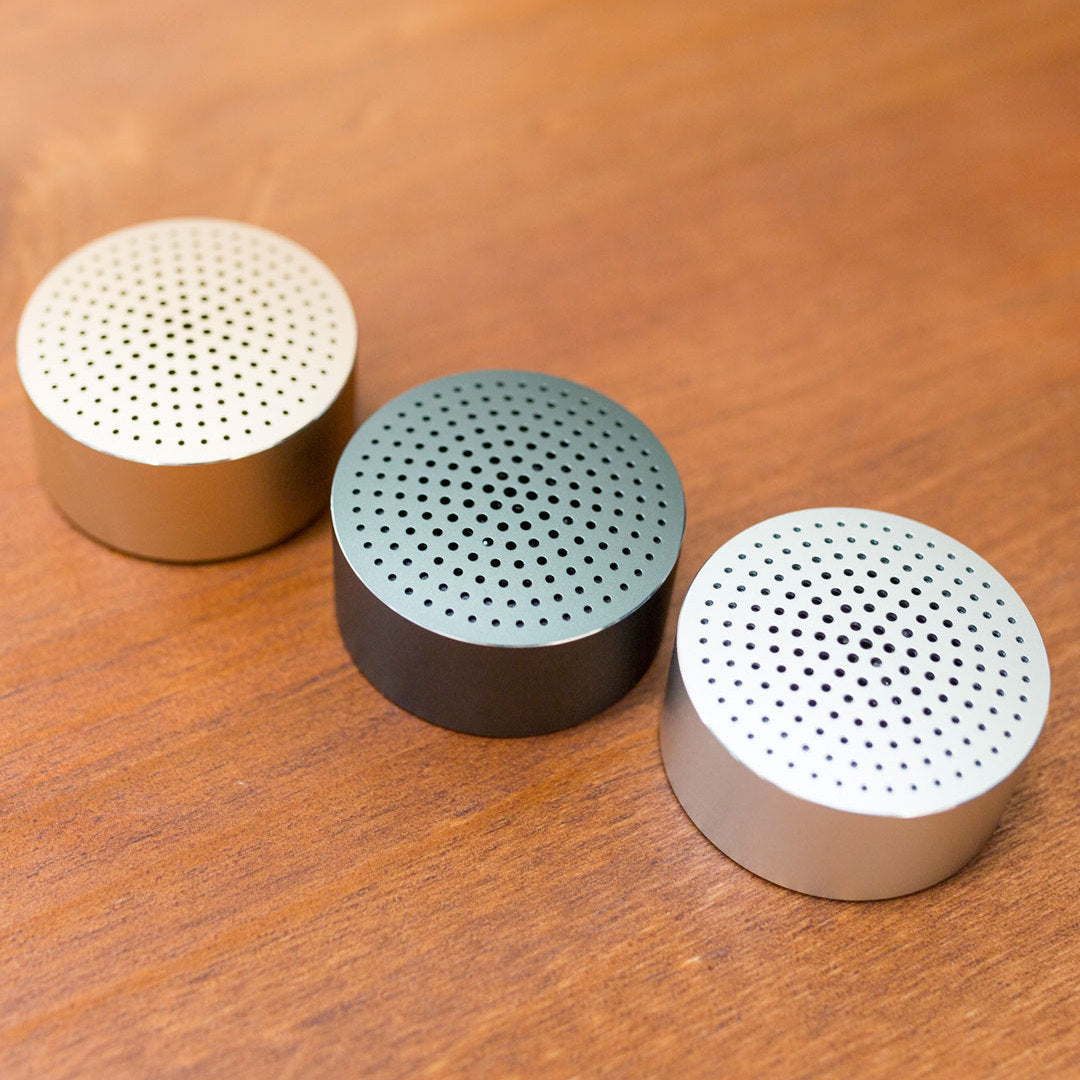 The Athlete AI: Portable Outdoor Sports AI Speaker