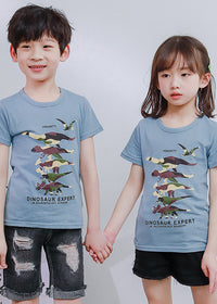 Dinosaur collection
