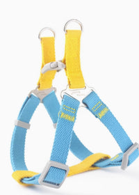 Blue And Yellow