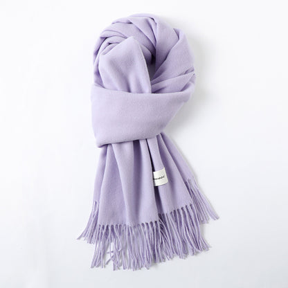 Simple Tassel Shawl Warm Artificial Cashmere Scarf