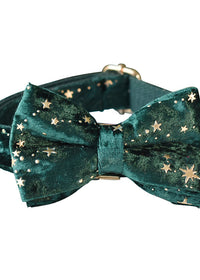 Bow dog collar
