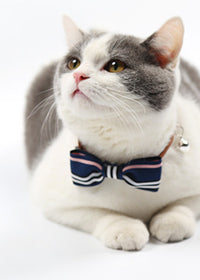 Blue stripes