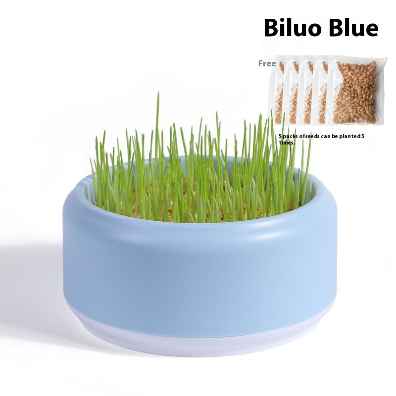 Potted Seeds Soilless Hydroponic Cat Grass