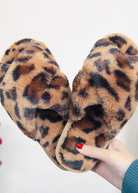 Brown leopard