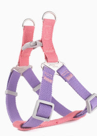 Purple Pink