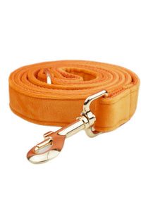 Dog leash3