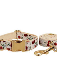 Collar and Leash
