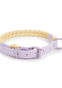 Purple Single Collar