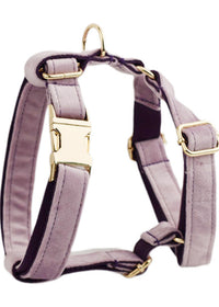 Dog vest3