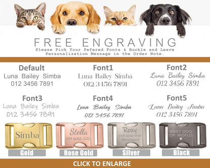 Multiple Colour Velvet Personalise Dog Collar Leash Set With Bow