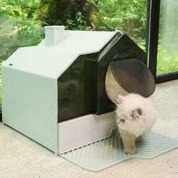 Dog Training Pads & Diapers