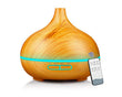 Facial Steamer
