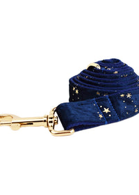 Dog leash2