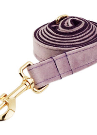 Dog leash3