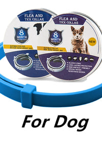 Dog sky blue