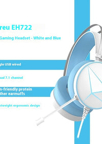 White blue wired control