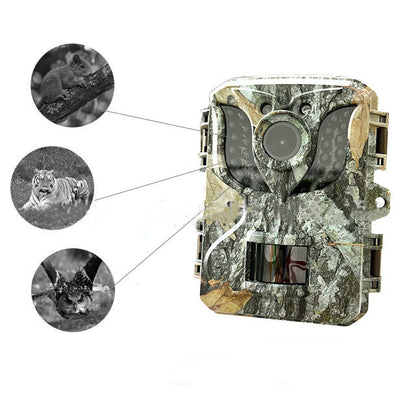 Wildlife Hunt Prevention HD DL005 Camera Security Monitoring Infrared Night Vision