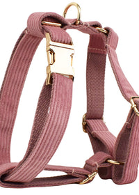 Dog Vest