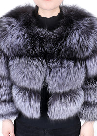 Silver fox