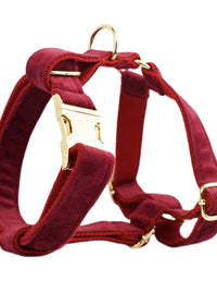 Dog vest1