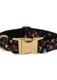Dog Collar