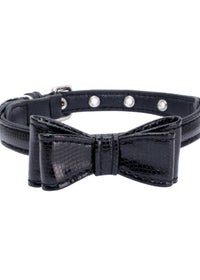 Black snake