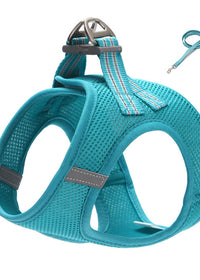 Blue Hand Holding Rope