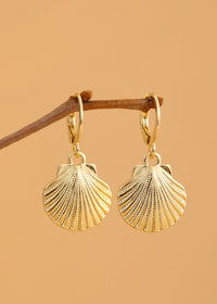 Shell